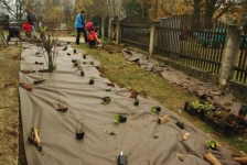 Výsadba trvalek  za pomoci maminek a dětí (Přírodní zahrada DLK Hájenka ve Zborné, 10.11.2012)