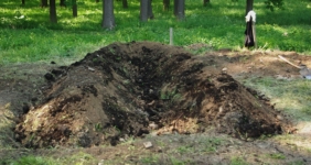 ...další vrstvu tvoří obrácené drny a půda s koňským hnojem (Holešov, 20.5.2012)